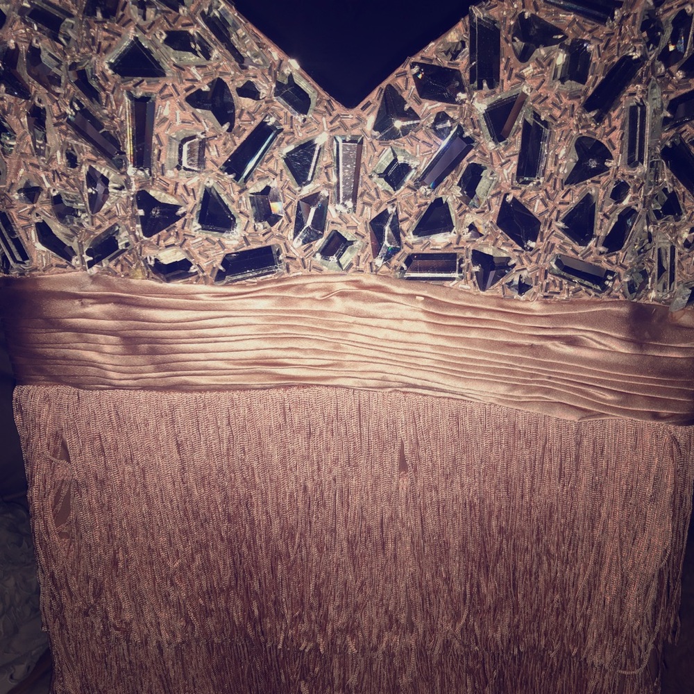Sherri Hill Crystal Fringe Dress